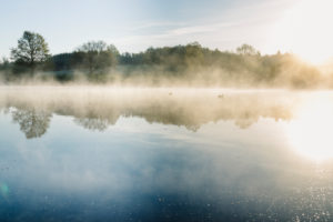 Sunrise and fog on Obersee Reservoir in Bielefeld Sunrise and fog on Obersee Reservoir in Bielefeld